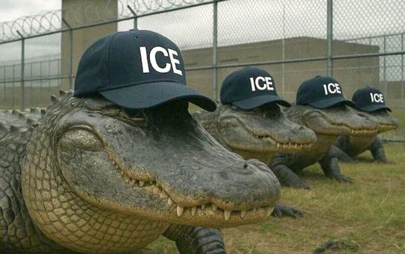 AlligatorAlcatrazGators580x365